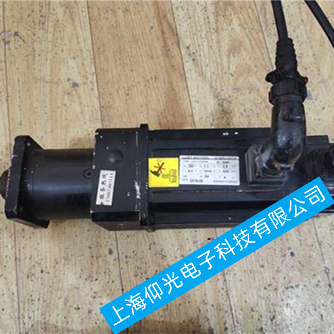 路斯特伺服電機(jī)維修 LSMM13-300-4N-000常見故障維修